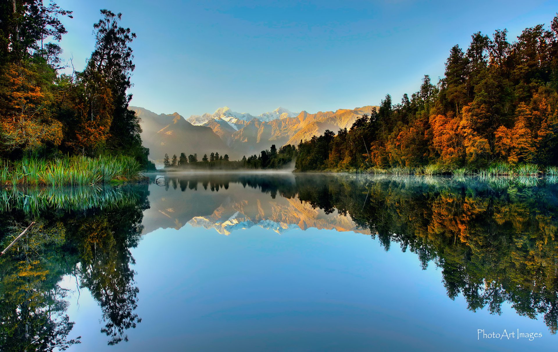 New Zealand lake and forest